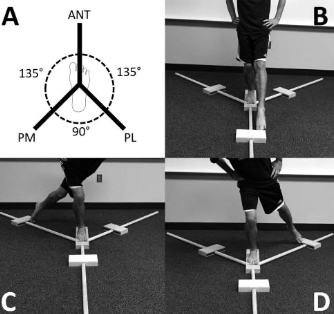 Figura 10: Y-balance Test. Fonte: Poweden C et al. The reliability of the Star Excursion Balance Test and Lower Quarter Y-balance Test in healthy adults: a systematic review. Int J Sports Phys Ther. 2019 Sep;14(5):683-694.Int J Sports Phys Ther. 2019 Sep;14(5):683-694.