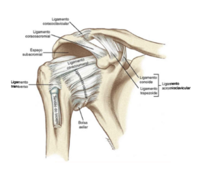 instabilidade-do-ombro-e-fisio