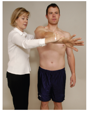 Imagem 6. Teste de compressão ativa. Fonte: Orthopedic Physical Assessment, 6 a ed, 2014.