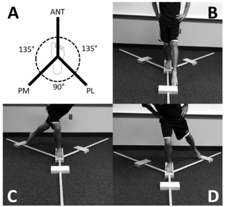 Figura 10: Y-balance Test. Fonte: Poweden C et al. The reliability of the Star Excursion Balance Test and Lower Quarter Y-balance Test in healthy adults: a systematic review. Int J Sports Phys Ther. 2019 Sep;14(5):683-694.