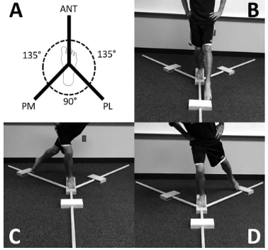 Figura 11: Y-balance Test. Fonte: Poweden C et al. The reliability of the Star Excursion Balance Test and Lower Quarter Y-balance Test in healthy adults: a systematic review. Int J Sports Phys Ther. 2019 Sep;14(5):683-694.