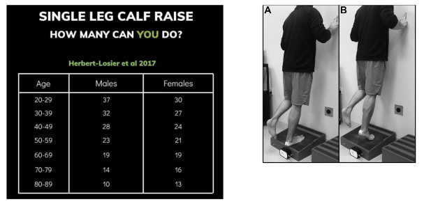 Figura 9: Teste de Heel Rise ou teste de elevação do calcâneo. Fonte: Herbert-Losier et al. Updated reliability and normative values for the standing heel-rise test in healthy adults. Physiotherapy 103 (2017) 446–452.
