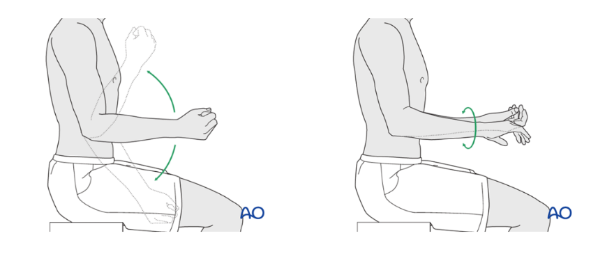 Figura 20. Estímulo de movimentos ativos de flexão-extensão e prono-supinação de cotovelo. Fonte: .