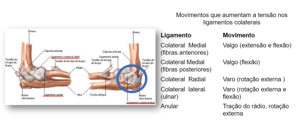 Figura 6. Ligamentos do cotovelo e os movimentos que eles restrigem. Fonte: NEUMANN, [s.d.].