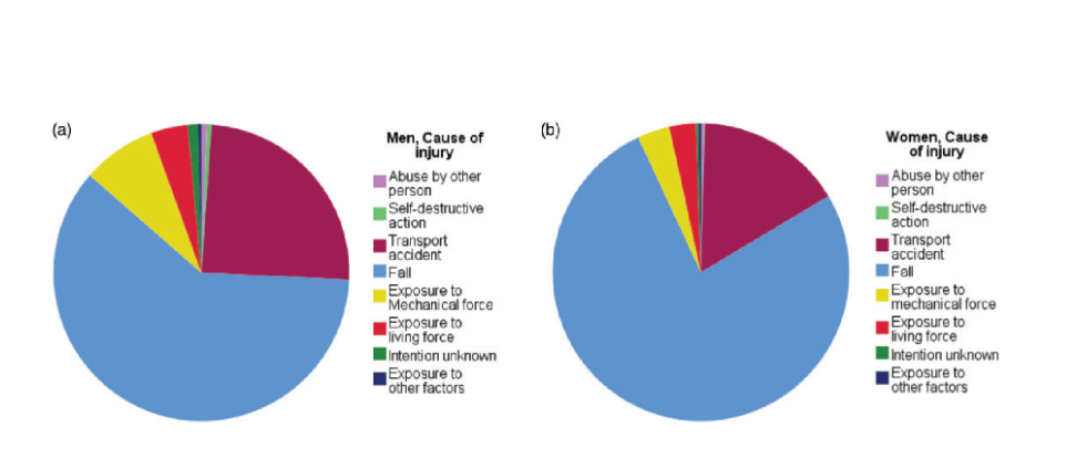 Figura 11: Causa do trauma em ossos do carpo (a) sexo masculino e (b) sexo feminino Fonte: Zander et al. Journal of Hand Surgery (Eur) 0(0) 1-7.
